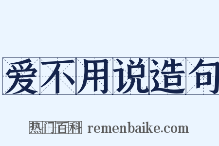 爱不用说造句是什么意思的图片